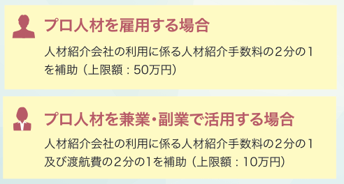 プロ人材を活用するための補助金